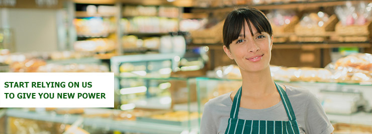 Iberdrola companies picture