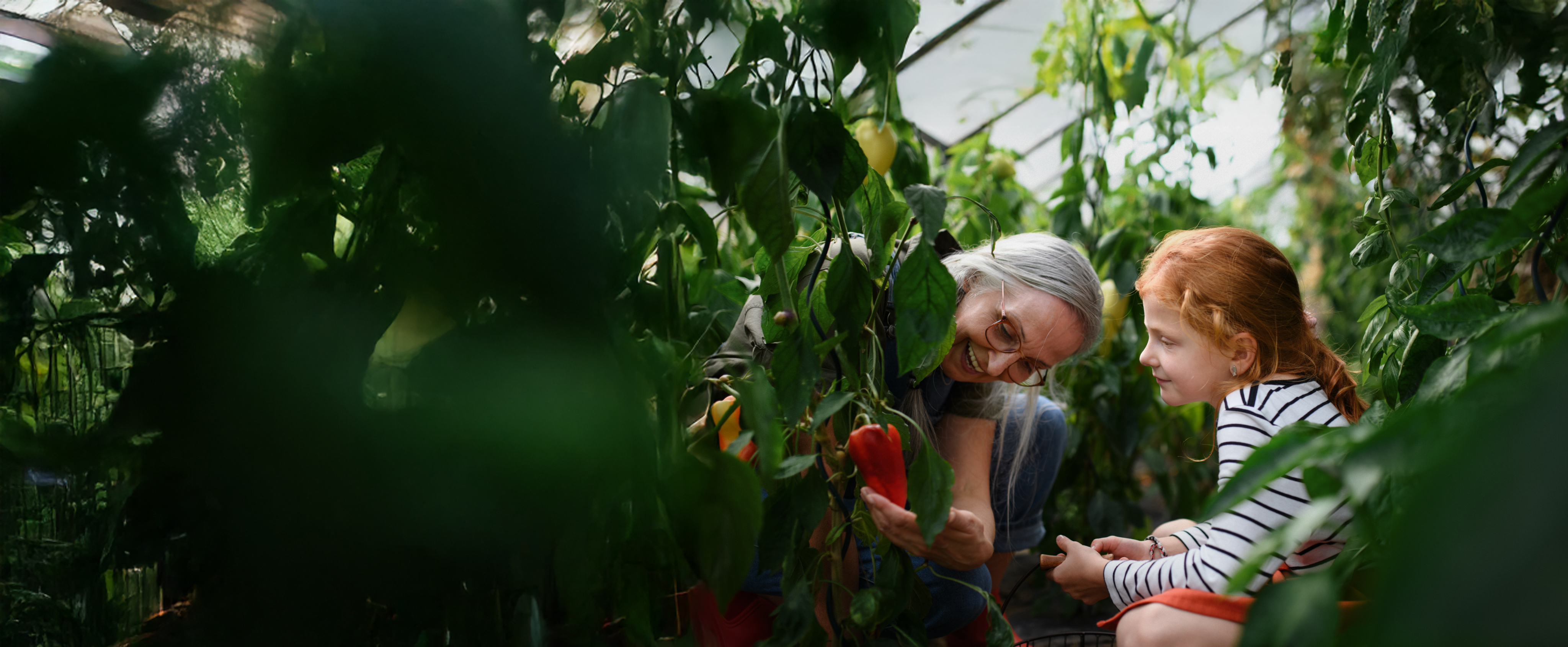 Imagem Pegada Ecológica: O que é e como a reduzir