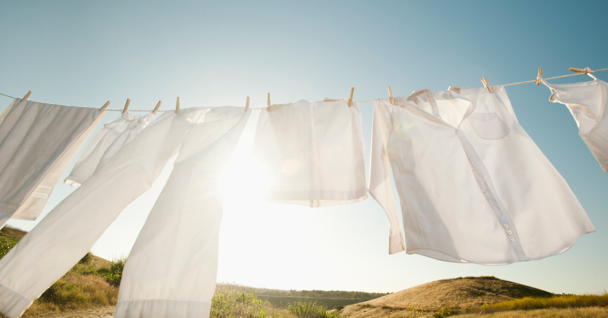 Imagem Moda Sustentável