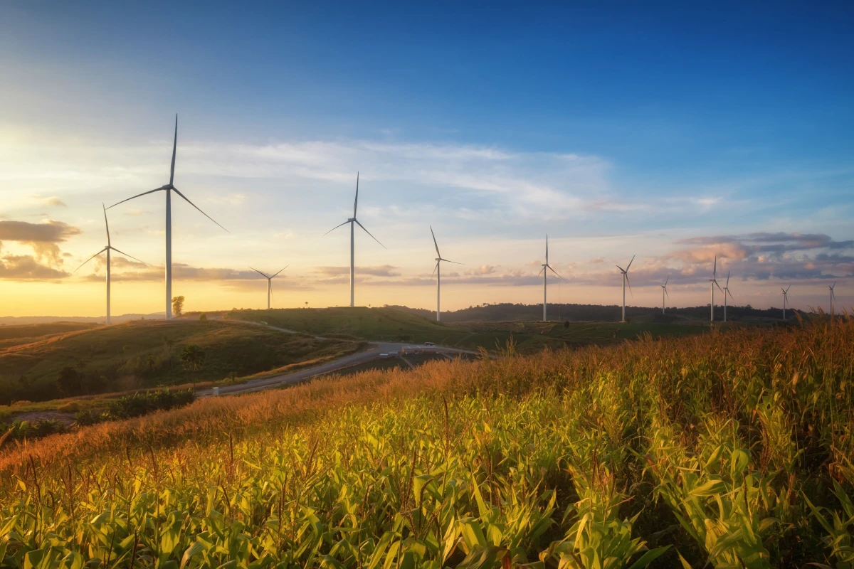 Imagem Iberdrola e Air Liquide assinam PPA para descarbonizar produção em Portugal e Espanha